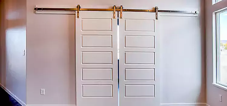 Glass Barn Door with Installation Hardware Kit Kearny